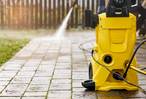 Animal Enclosure Cleaning in Interlachen, FL